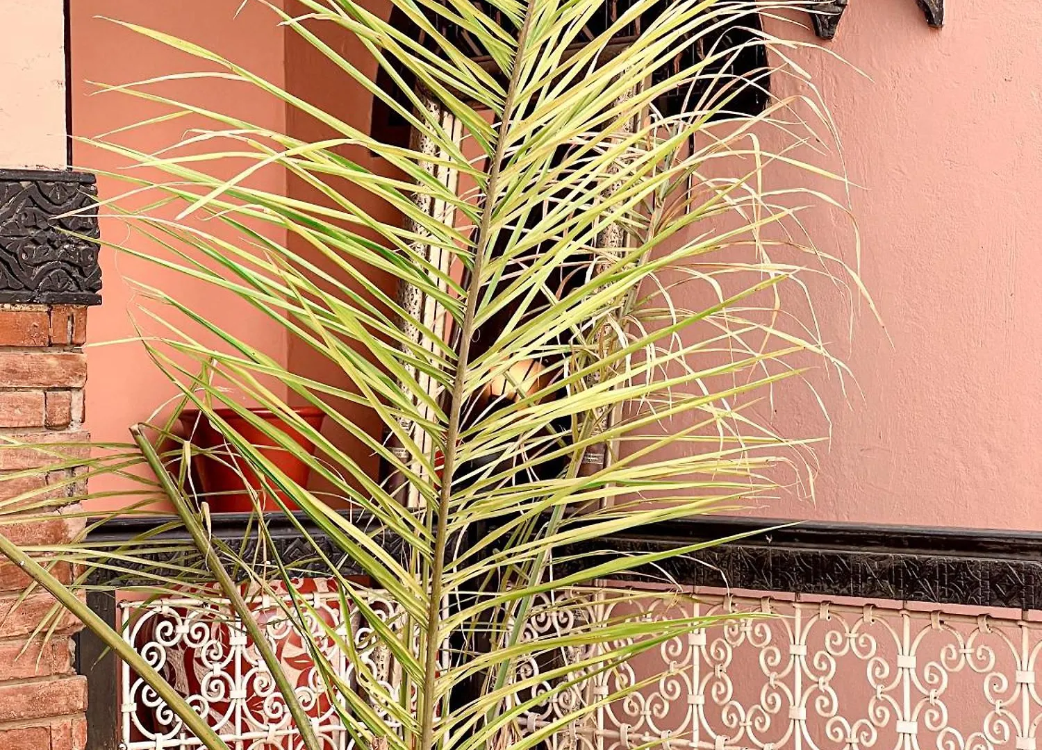Riad Musa Marrakesh Gasthuis